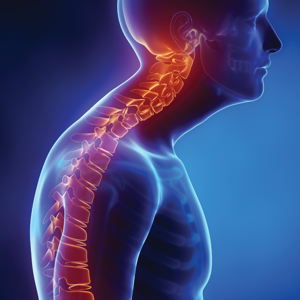 spine pain